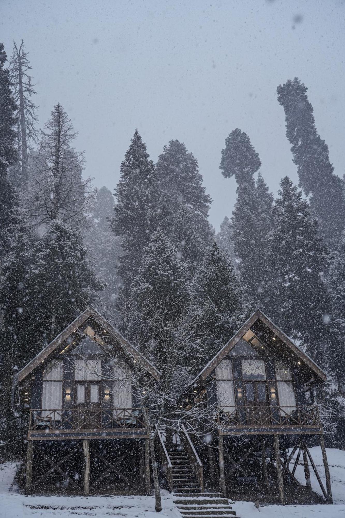 Solomons Gray Villa Tangmarg Exterior photo